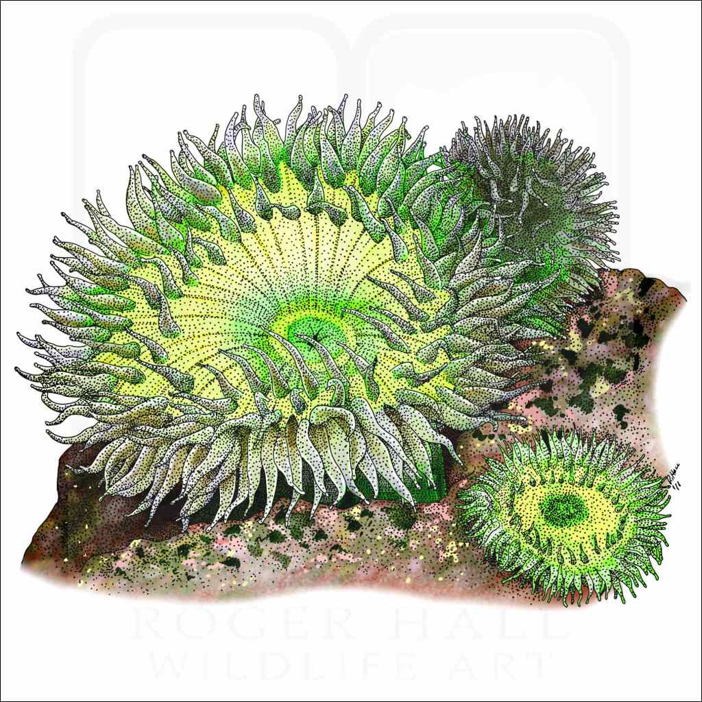 07/17/2025 – General Adventuring Guild –&nbsp;Online